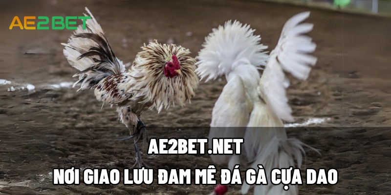 da ga cua dao ae2bet.net